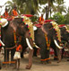 Varkala Tour Packages